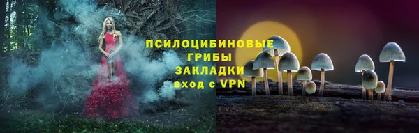 дмт Балабаново