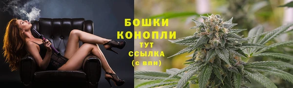 ГАЛЛЮЦИНОГЕННЫЕ ГРИБЫ Баксан