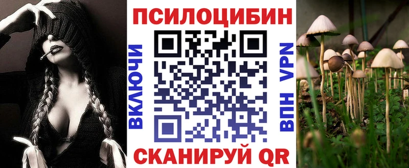 omg   Кяхта  Галлюциногенные грибы прущие грибы  наркошоп 