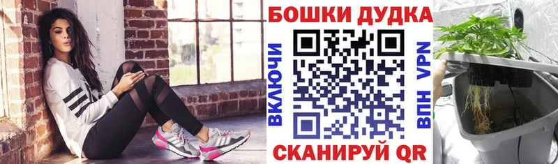 МАРИХУАНА ГИДРОПОН  где найти   Кяхта 